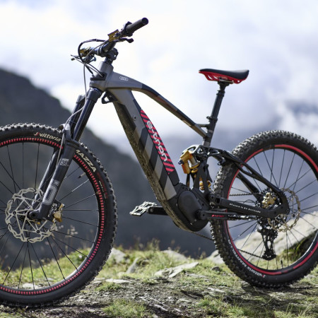 Audi mtb top bike