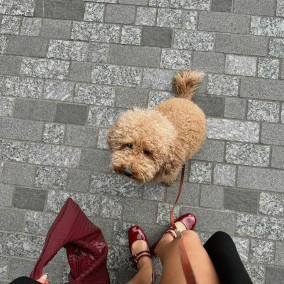 ★Mary Jane Shoes★2色【送料関税込】(02-446) mary jane shoes | LAZY AND EASY