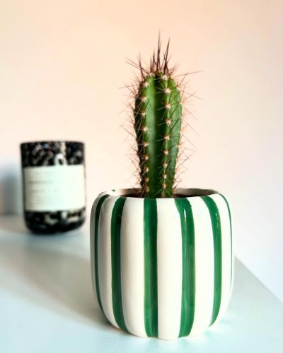 Instagram post by homesweethome.no7