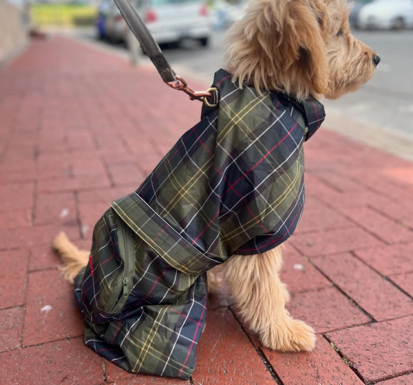 Barbour Dogs | Barbour