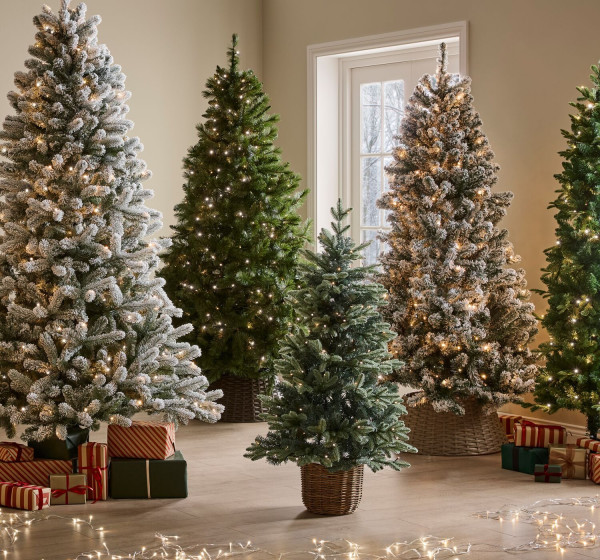 Homebase xmas trees hotsell